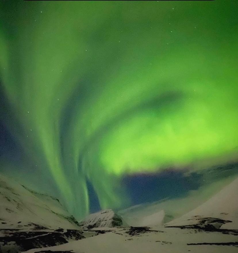 Hotel Dalvík Exteriér fotografie